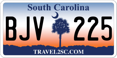 SC license plate BJV225