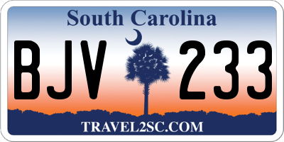 SC license plate BJV233