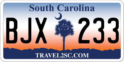 SC license plate BJX233