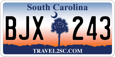 SC license plate BJX243
