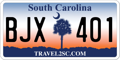 SC license plate BJX401