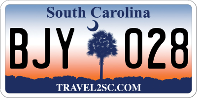 SC license plate BJY028