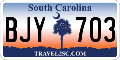 SC license plate BJY703