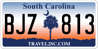 SC license plate BJZ813