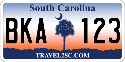 SC license plate BKA123