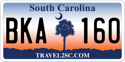 SC license plate BKA160