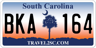 SC license plate BKA164