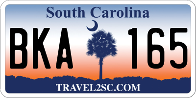 SC license plate BKA165
