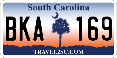SC license plate BKA169
