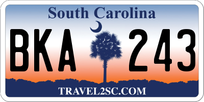 SC license plate BKA243