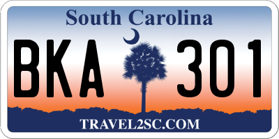 SC license plate BKA301