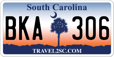 SC license plate BKA306