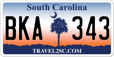 SC license plate BKA343