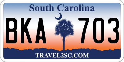 SC license plate BKA703