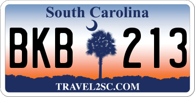 SC license plate BKB213
