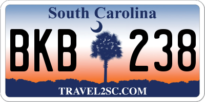 SC license plate BKB238