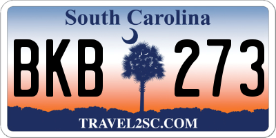 SC license plate BKB273