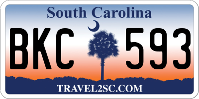 SC license plate BKC593