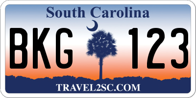 SC license plate BKG123