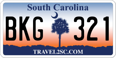 SC license plate BKG321
