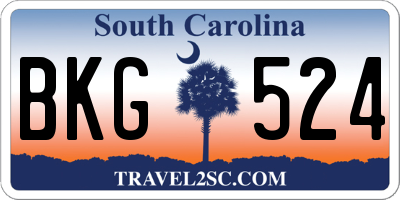 SC license plate BKG524