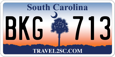 SC license plate BKG713