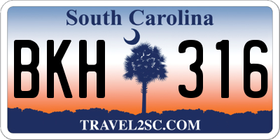 SC license plate BKH316