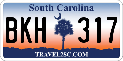 SC license plate BKH317