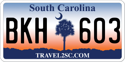 SC license plate BKH603