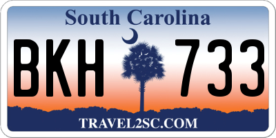 SC license plate BKH733