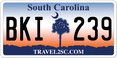 SC license plate BKI239