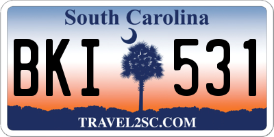 SC license plate BKI531