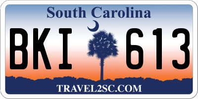 SC license plate BKI613
