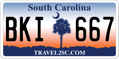 SC license plate BKI667