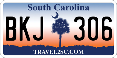 SC license plate BKJ306
