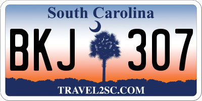SC license plate BKJ307