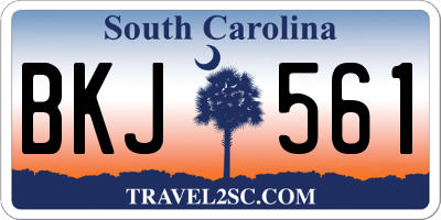 SC license plate BKJ561