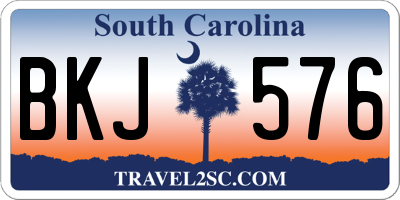 SC license plate BKJ576