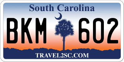 SC license plate BKM602