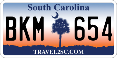 SC license plate BKM654