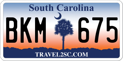 SC license plate BKM675