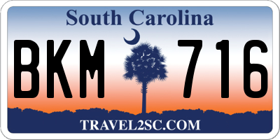 SC license plate BKM716