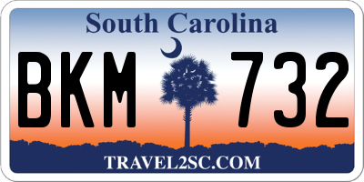 SC license plate BKM732