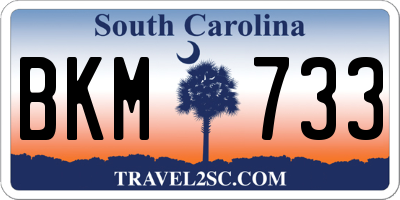 SC license plate BKM733