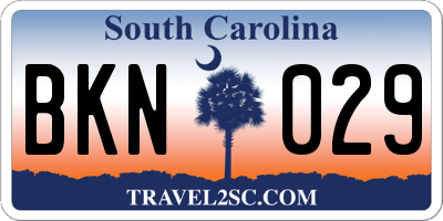 SC license plate BKN029