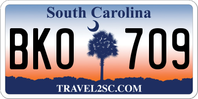 SC license plate BKO709