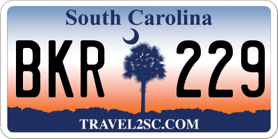 SC license plate BKR229