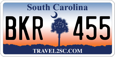SC license plate BKR455