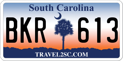 SC license plate BKR613