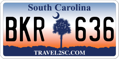 SC license plate BKR636